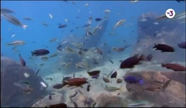 Апокалипсис | 9 серия