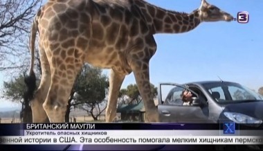 Х-версии. Другие новости | 2 сезон, 95 выпуск (полный)