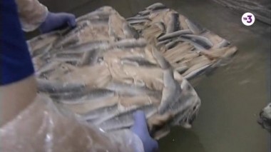 Как это сделано | 160 выпуск