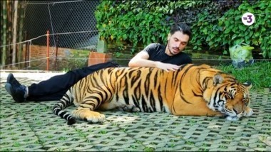 Вокруг света. Места силы | 2 сезон, 5 выпуск | Чиангмай