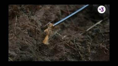 Мистические истории, 5 сезон, 23 серия