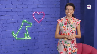 О здоровье: Понарошку и всерьез | 10 серия