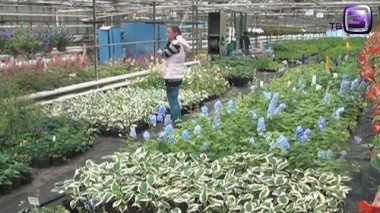   Охотники за привидениями. 171 выпуск. Оранжерея