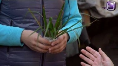 Слепая. 2 сезон. 7 выпуск. Лебединая песня