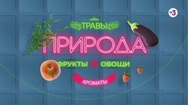 Совет на здоровье с Малаховым | Что делать, если болит спина?