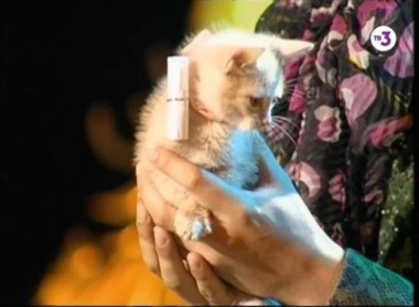 Удиви меня: 2 сезон, 6 выпуск