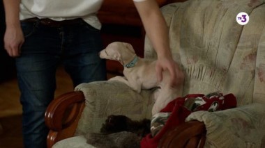 Знаки судьбы, 170 выпуск